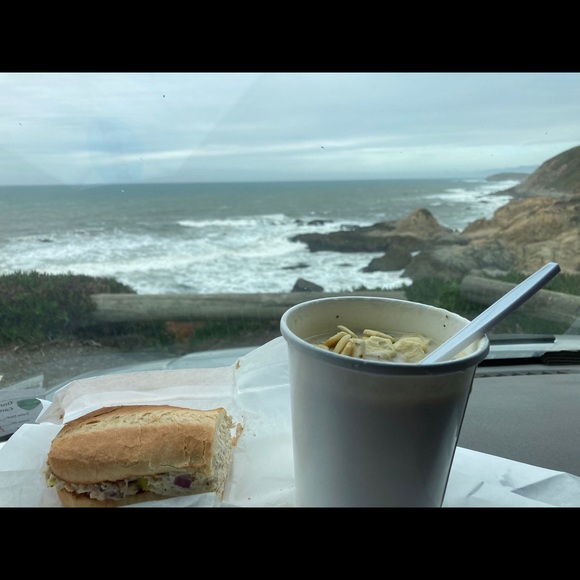 Meet your Posher, Cat - Picture 1 of 1